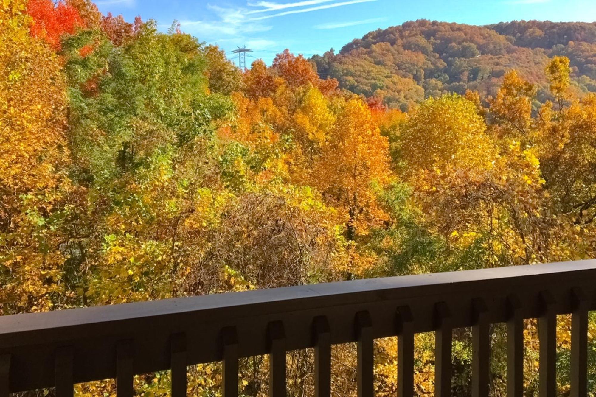 Eagles Nest Escape Apartment Gatlinburg Exterior foto